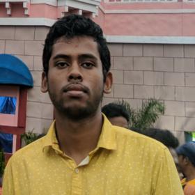 Rittik Biswal